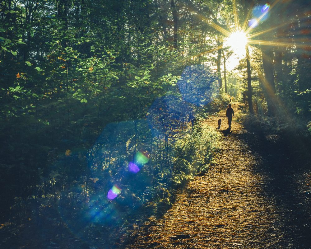 GettyImages-491317220