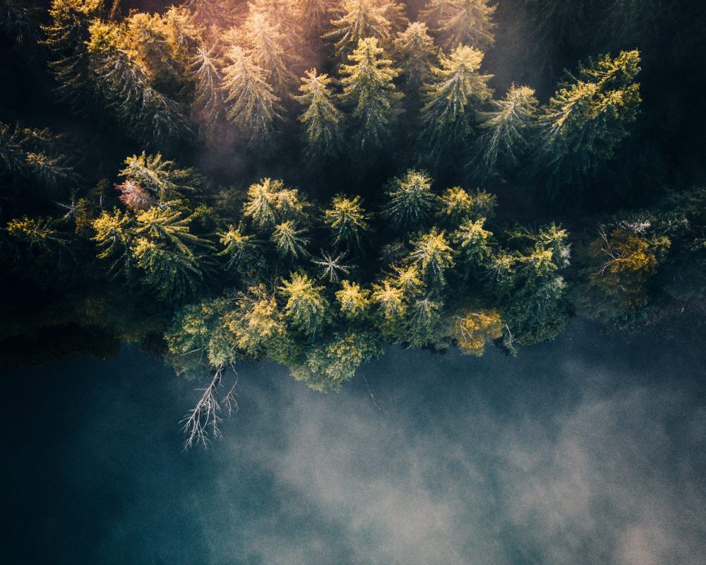 shutterstock_1581553459