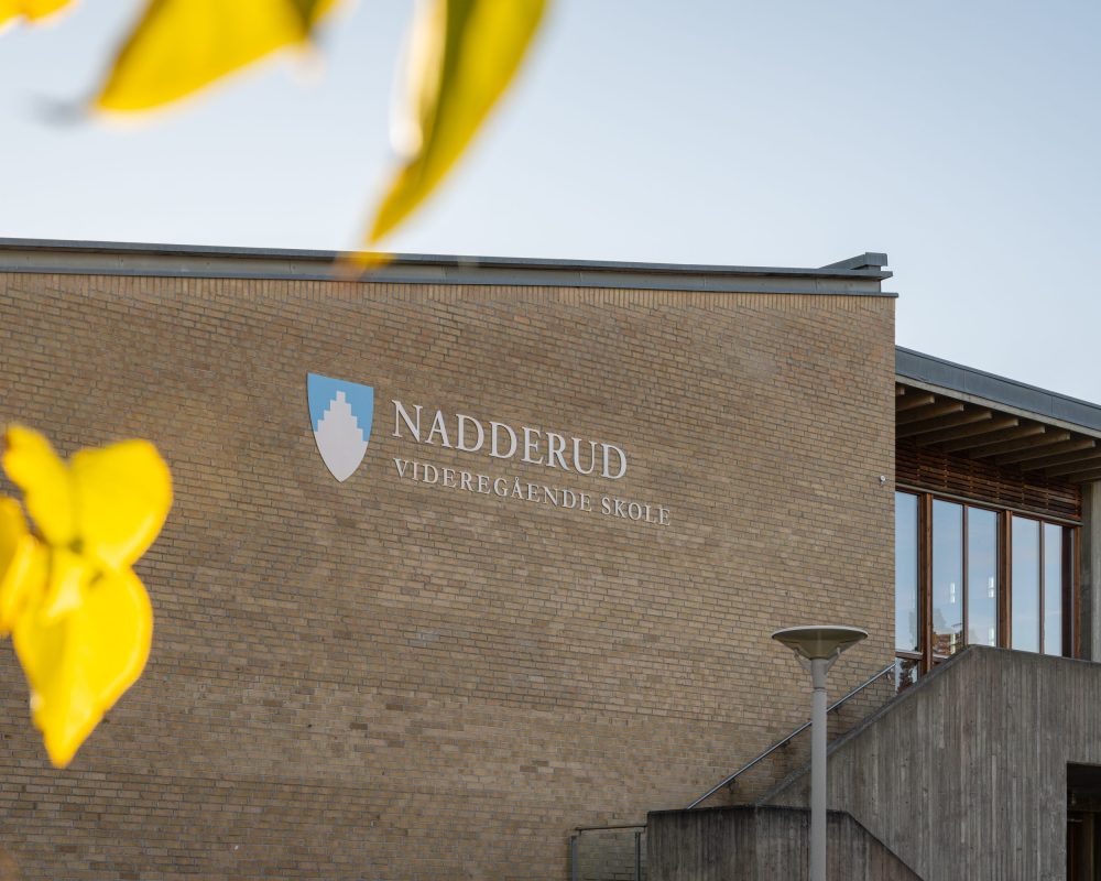 Lemon - Skogfaret områdebilder-78