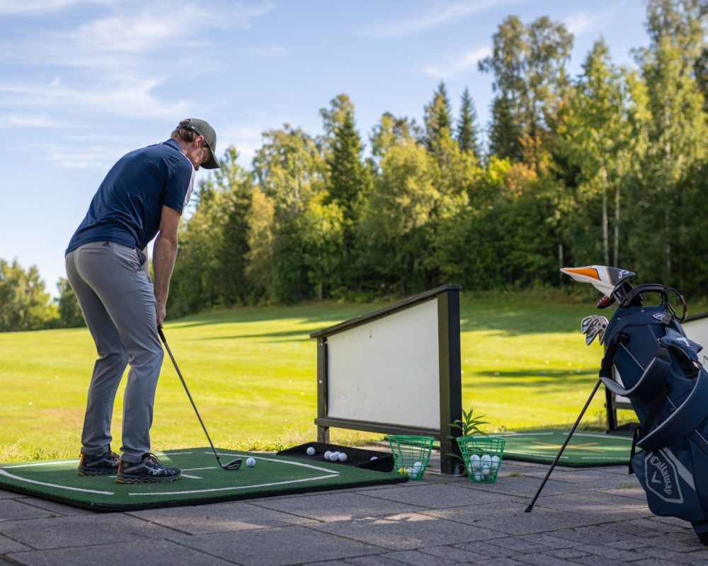 Lemon - Skogfaret områdebilder-96